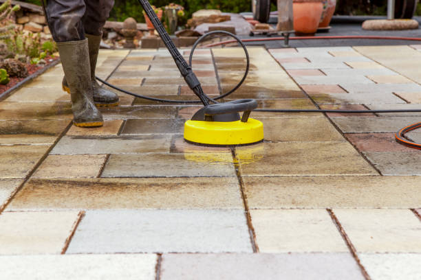 Best Animal Enclosure Cleaning  in Nederland, CO